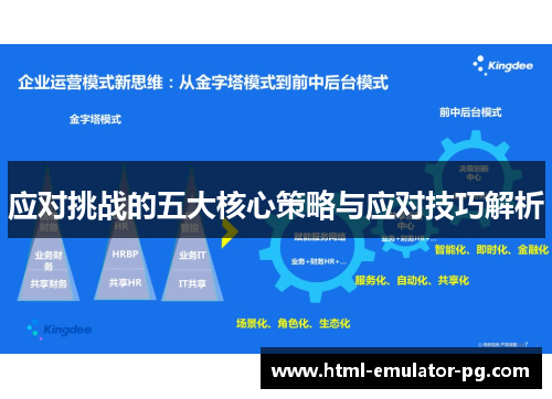 应对挑战的五大核心策略与应对技巧解析